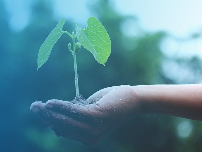 Nachhaltigkeitsbericht erstellen: 5 Tipps für den CSR-Report im Mittelstand
